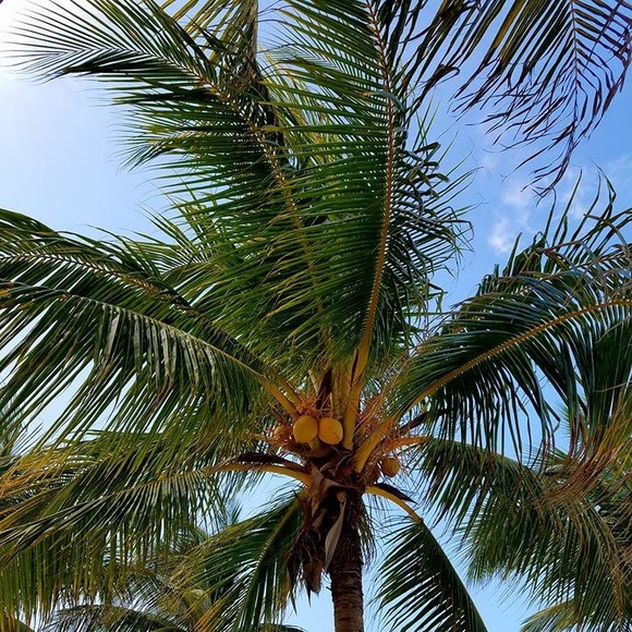 Meet your Posher, Nielle - Picture 1 of 1